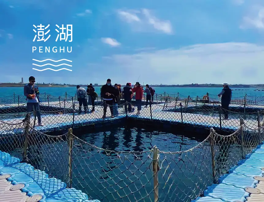 靜態慢活趣