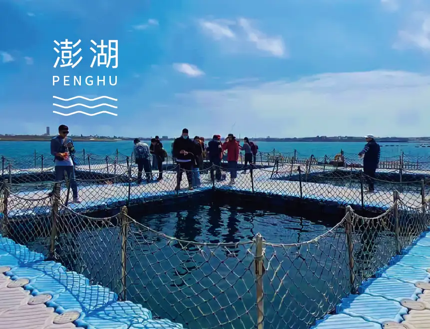 海洋牧場